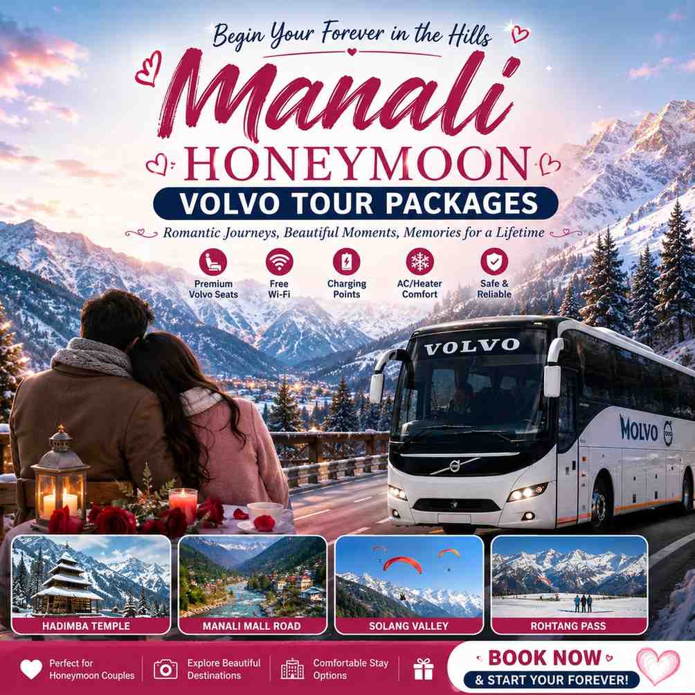 Manali Honeymoon Volvo Tour Packages snowfall view